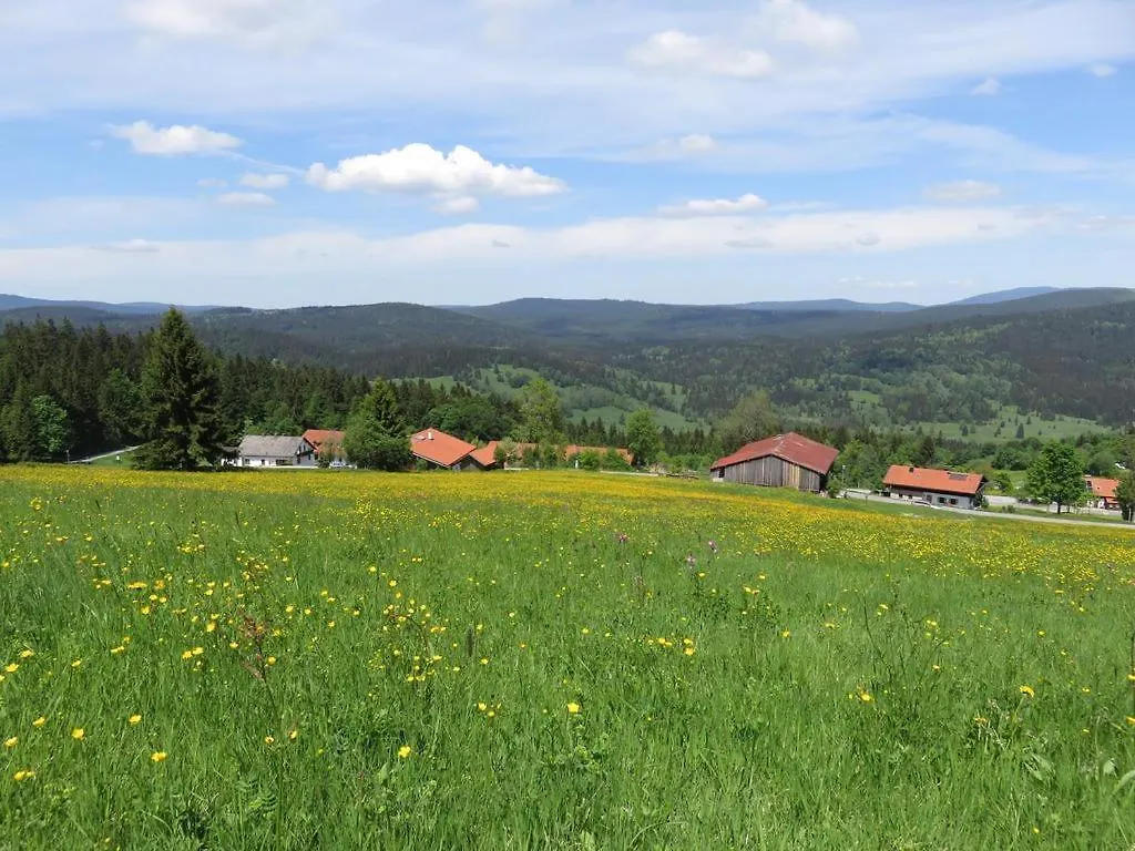 Apartman 2 Zimmer Mitterdorf Philippsreut Németország