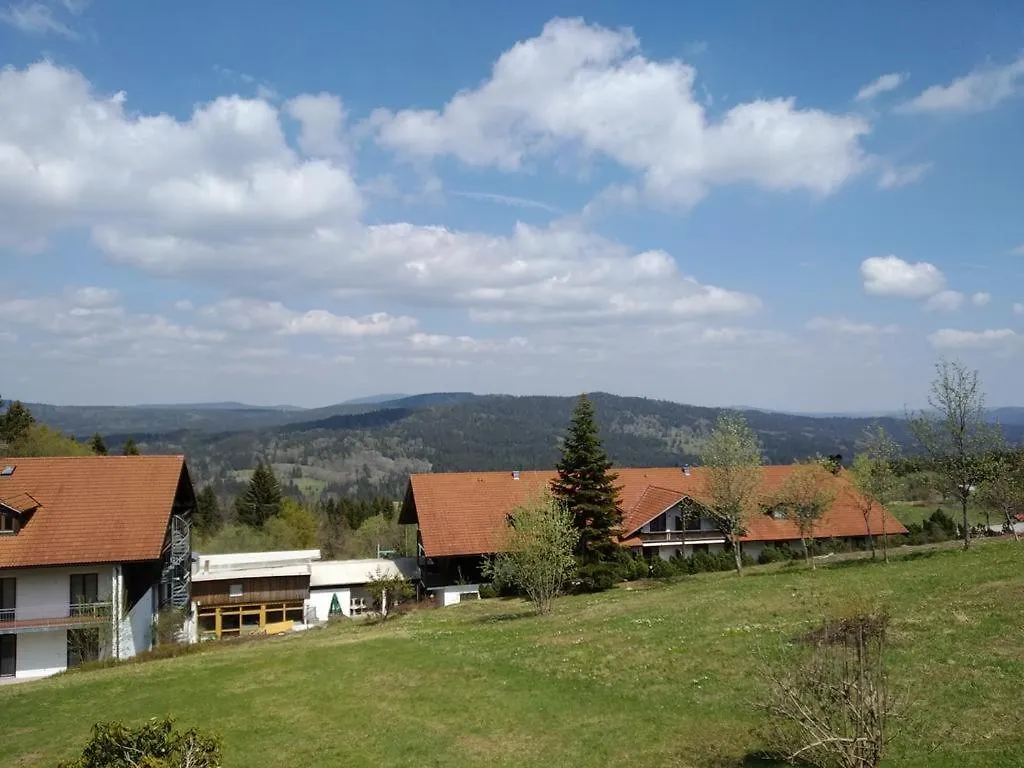 Apartment 2 Zimmer Mitterdorf Philippsreut Deutschland